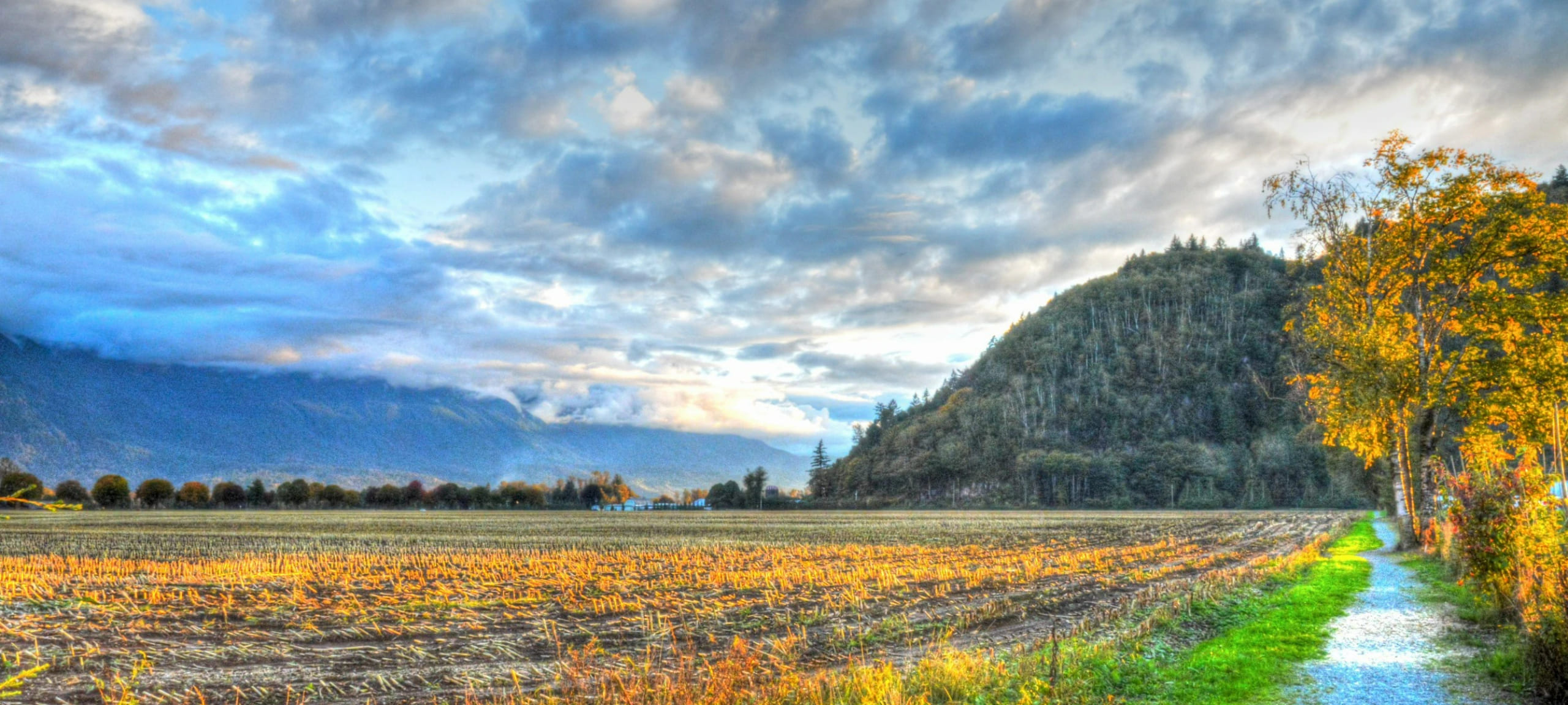 Agassiz Homes & Condos - MLS Listings For Sale